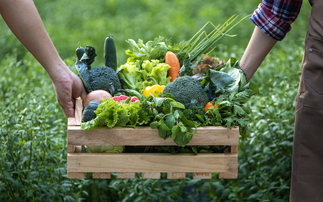 Study: Growing more fruit and veg could boost UK farmers' resilience