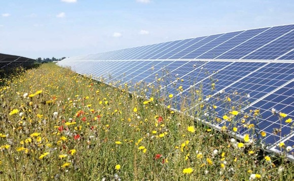 Green New Deal: MPs urge government to devolve power to deliver net zero