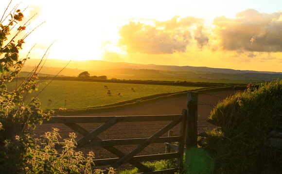 Poor harvest: Is the UK's post-Brexit green farming subsidy scheme struggling to capture farmers' attention?