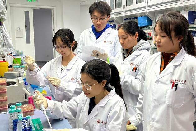 Chinese scientists unravel mystery behind extreme weight loss in advanced cancer patients