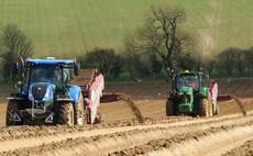 Tractor registrations up in November but remain down on the year
