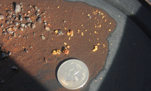 Marindi finds Pilbara nuggets