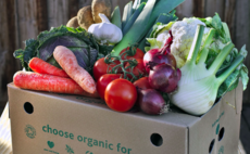 Organic market doubles in a decade as shoppers 'back British farming'