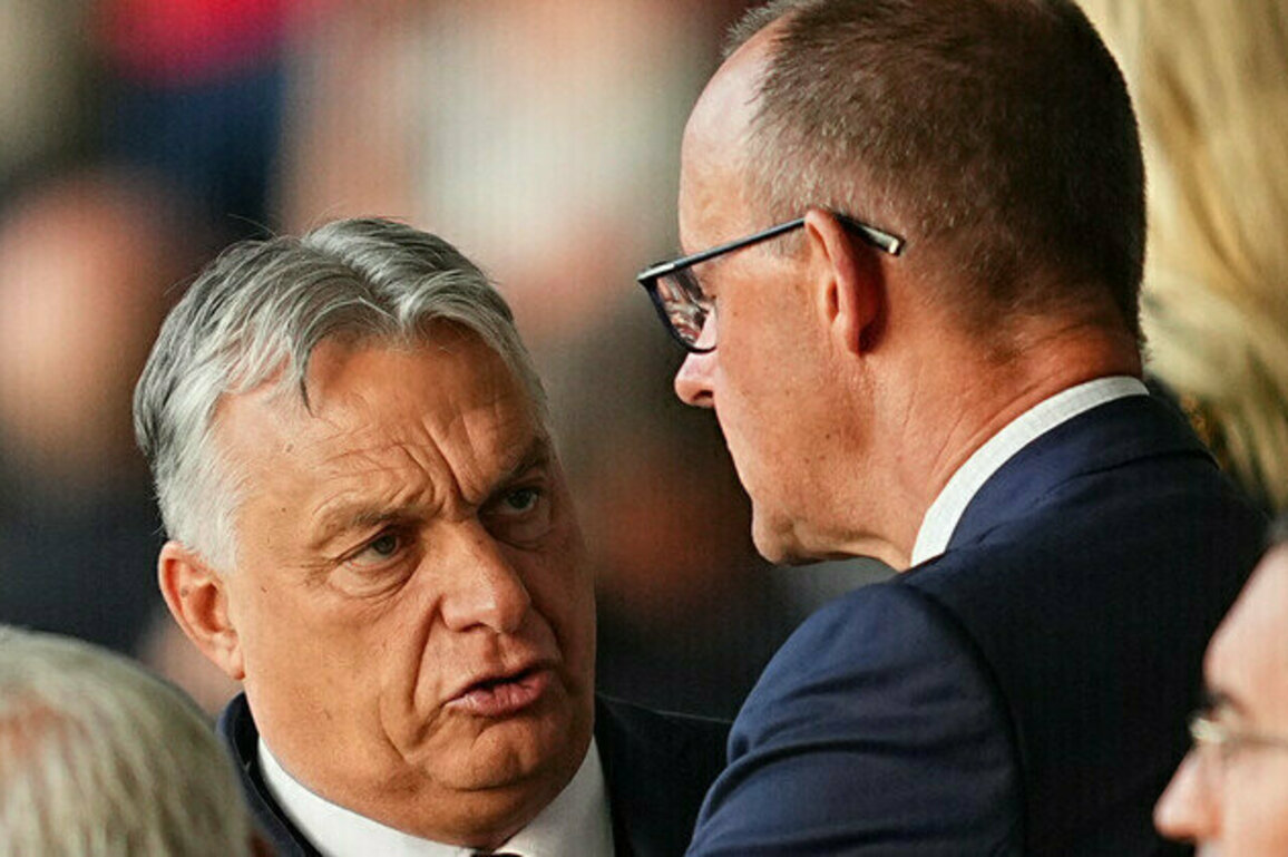 Merz reveals details of clash with Orban