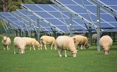 Government's new net zero strategy 'lacks ambition' for farming