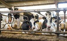Three main challenges facing the future dairy business