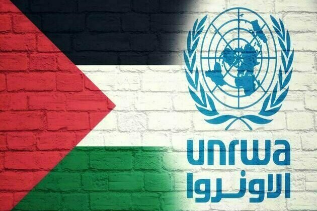 UNRWA: Five more staff killed in Gaza