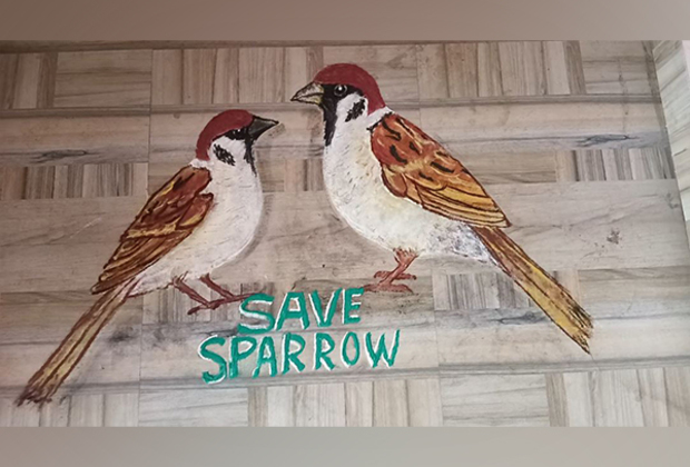 Odisha artist commemorates World Sparrow Day with Rangoli artwork, urges people to protect them