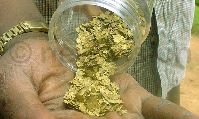 Police warns public against gold scams Police warns public against gold scams