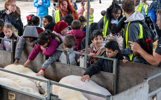 Hundreds of inner-city children descend on Olly Harrison's farm for NSA education day