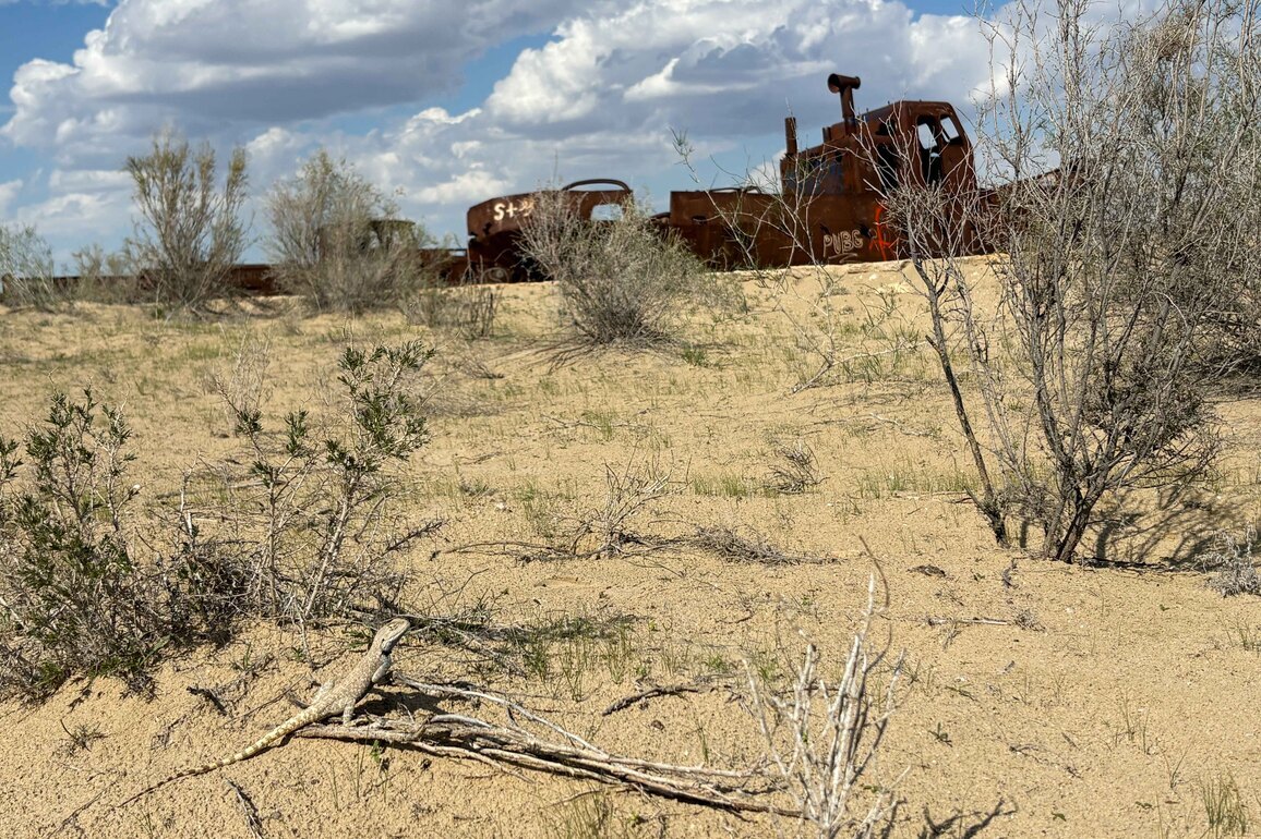 UZBEKISTAN-MOYNAQ-THE ARAL SEA-SHIP CEMETERY