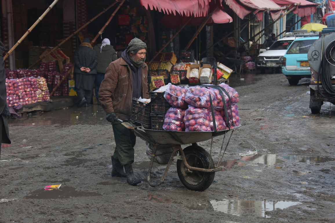 AFGHANISTAN-KABUL-FRESH FRUIT EXPORT