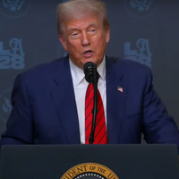 "I never said a percentage ": Trump on increasing tariffs on countries buying Russian energy