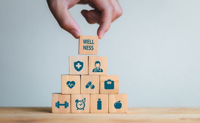 Canada Life launches online wellbeing portal for members post-buyout