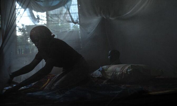 Congo distributes three million mosquito nets in anti-malaria campaign Congo distributes three million mosquito nets in anti-malaria campaign