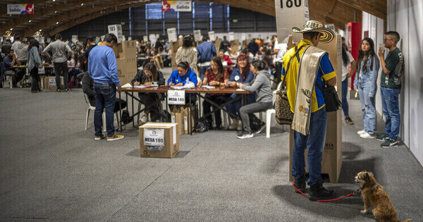 Trump-backed Tiger claims victory in Colombian election