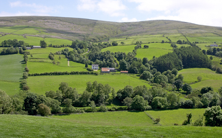 Figures reveal farm incomes have dropped by almost 50%