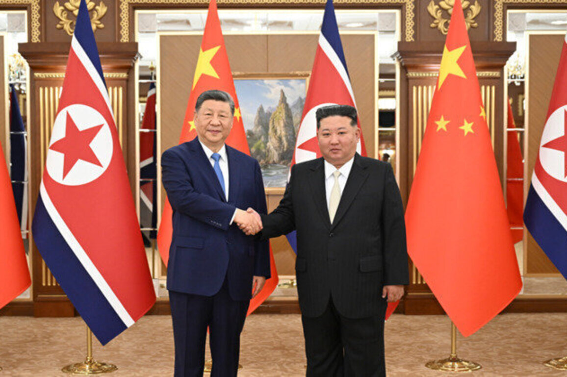 Official: China, DPRK reach new important consensus on bilateral ties