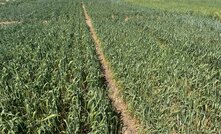 Aussie farm research is showing a significant return on investment, according to a new ABARES report.