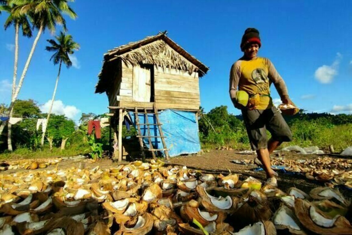 Nasib petani kecil di tengah perubahan iklim: Strategi bertahan dari Mentawai hingga Fakfak