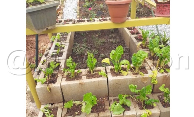 Beautify your yard with hollow blocks Beautify your yard with hollow blocks