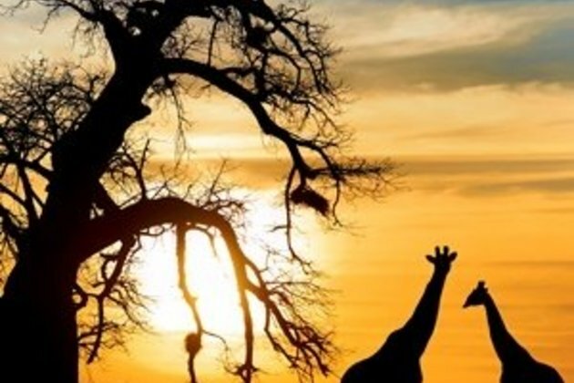 SA tourism hamstrung by safety and security issues