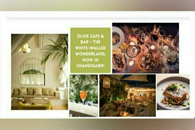 The Olive Cafe & Bar, the white-walled wonderland, opens in the city beautiful