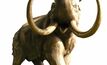 Coal mine yields five wooly mammoths