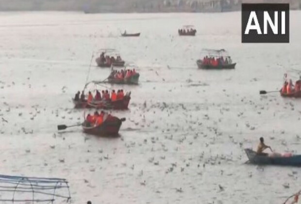 Uttar Pradesh: Siberian birds flock to Triveni Sangam, giving picturesque sight to visitors