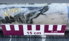 Visible gold from deep Mulga Bill drilling