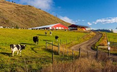 Finances pose barriers to young farmers in UK and Canada alike