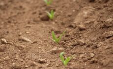 Optimism for 2023 beet crop despite challenging start