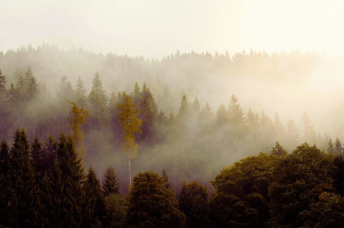 Bulgaria Friday Forecast: Clear Skies with Localized Fog in Lowlands