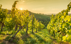 Berry Bros. & Rudd uncorks plan to promote regenerative winemaking