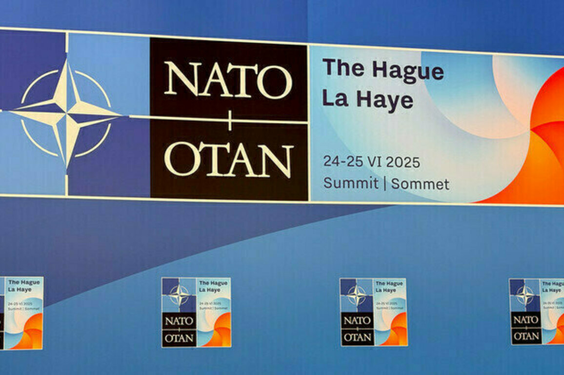 NATO summit to ditch Ukraine meeting  Politico