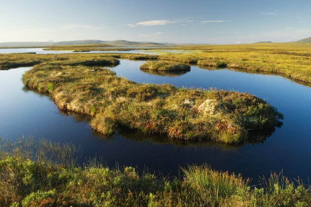 How art inspired by peatlands can help us confront the climate crisis