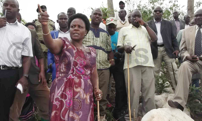 Minister orders removal of rice in wetland, forest reserve Minister orders removal of rice in wetland, forest reserve