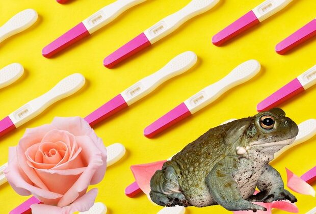 A brief history of pregnancy tests - from toads and rabbits to rosewater