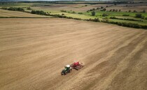 Cereal farmers hit hardest as income falls by two thirds