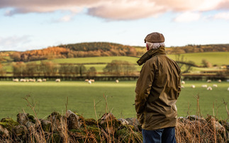 Farms and family businesses 'tearing up long-term plans to invest' in response to Inheritance Tax changes