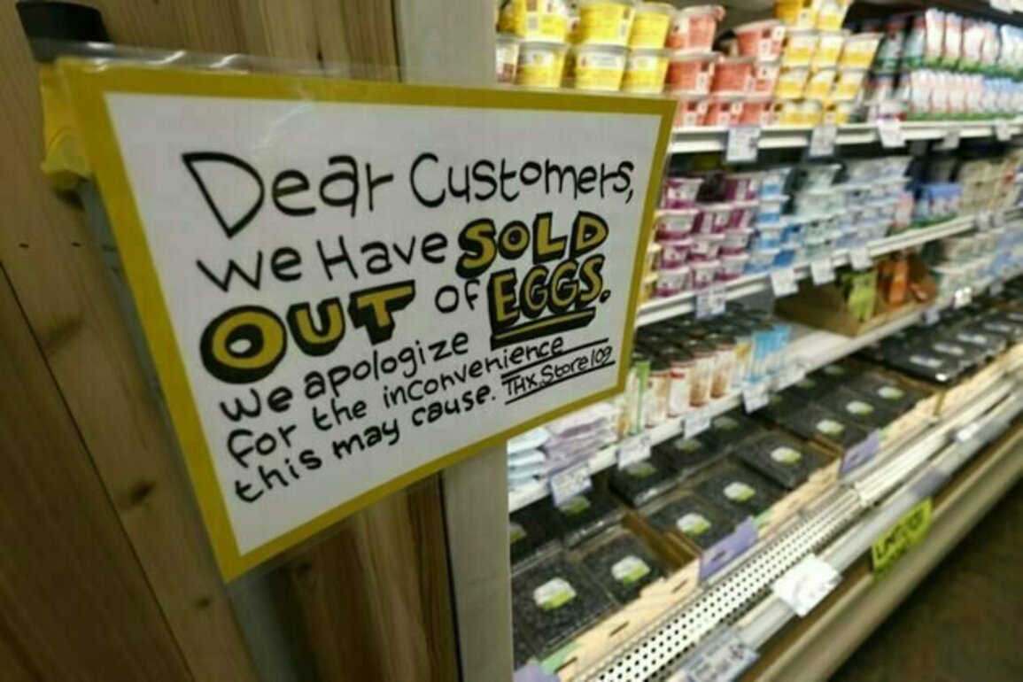 Why Americans care so much about eggs prices - and how this issue got so political
