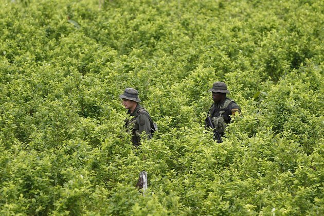 Cocaine has been our top export Colombian president