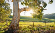Australian farmland values have risen for the 12th consecutive year.