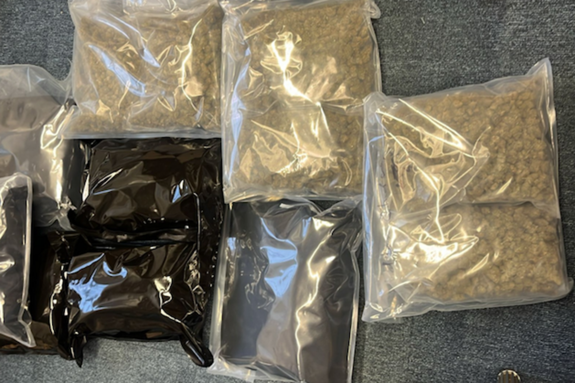 Joint Raid Seizes €150k of Cannabis in County Louth