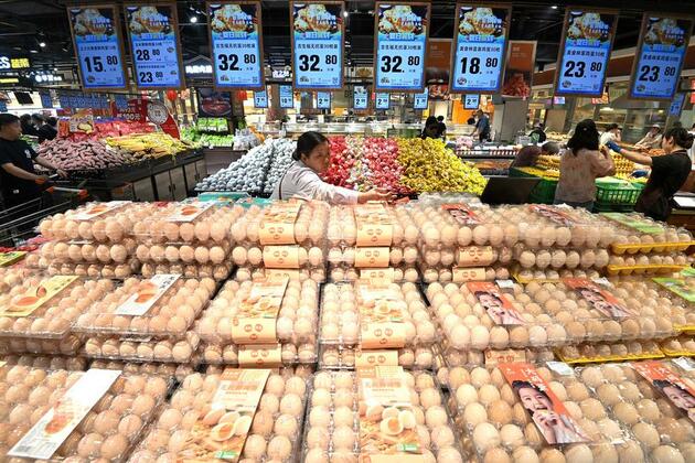 Update: China's consumer prices rebound amid pro-consumption policies