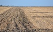  Strategic tillage can play a roll in managing soil erosion during dry times.