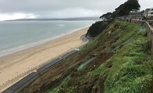  As part of the slope stabilisation work at Canford Cliffs, Poole, UK, CAN Geotechnical has been working with the local council’s biodiversity officer to protect both habitats and wildlife