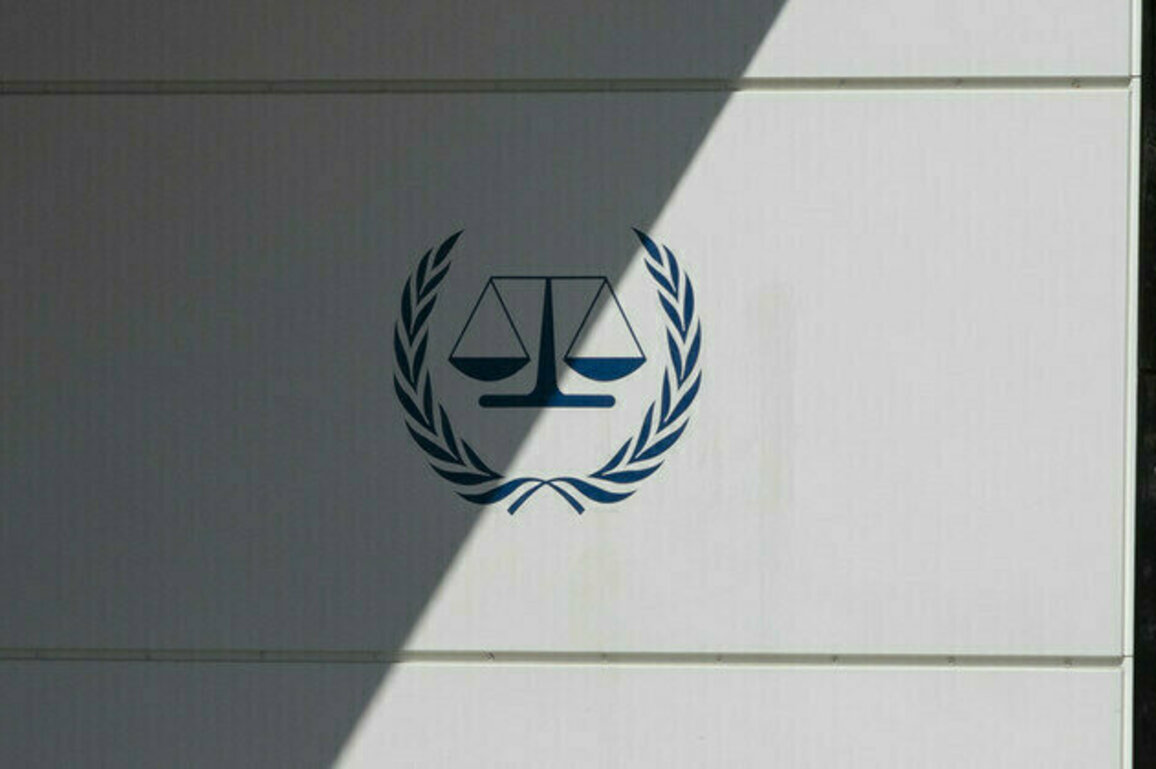 ICC applies double standards  law professor