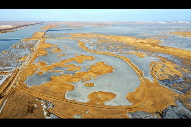 InPics: World Wetlands Day: charm of wetlands in China