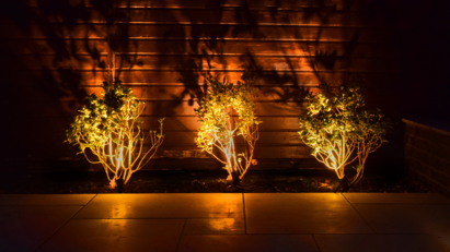 Birkdale acquires Ellumiére Garden Lighting Systems